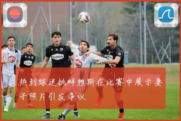 热刺球迷挑衅赖斯在比赛中展示妻子照片引发争议